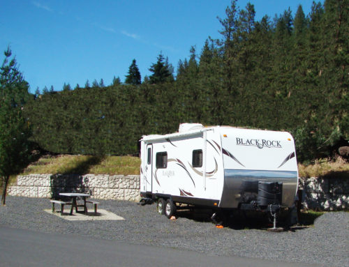 RV Space – Mountain Side – BACK IN